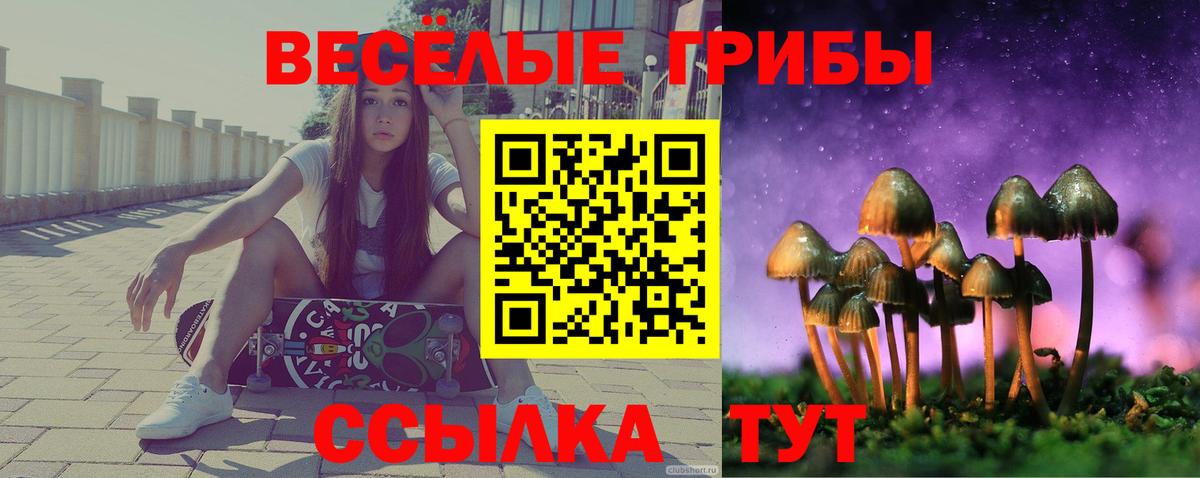 Галлюциногенные грибы Psilocybe  цены наркотик  Вход с VPN  Чехов  Псилоцибиновые грибы ЛСД 