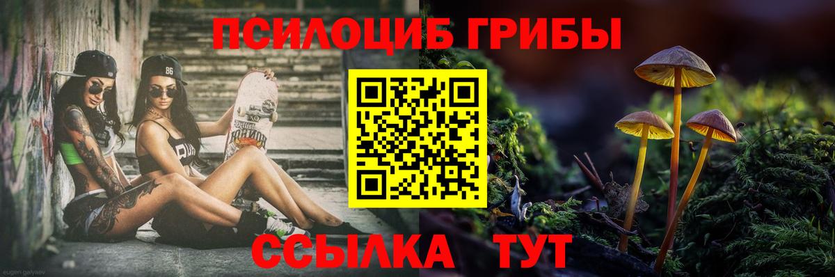 Псилоцибиновые грибы Cubensis Чехов