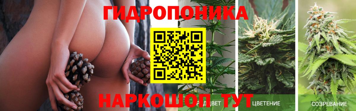 МАРИХУАНА планчик Чехов